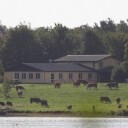 Lolland Kommune: Oplevelsestur til Naturskolen ved Maribo Søndersø for op til 30 personer - Til fordel for Danmarks Indsamling 2019 