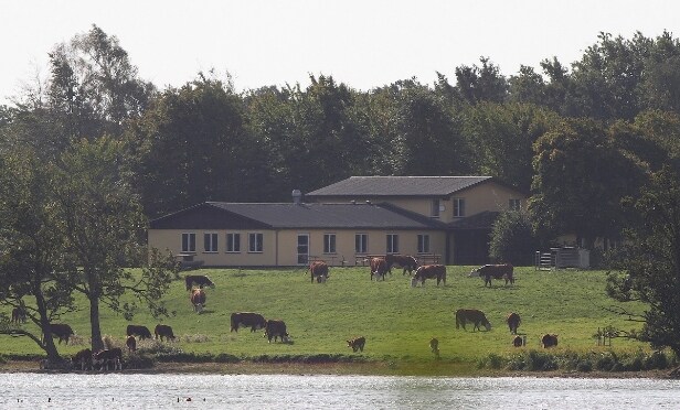 Lolland Kommune: Oplevelsestur til Naturskolen ved Maribo Søndersø for op til 30 personer - Til fordel for Danmarks Indsamling 2019 