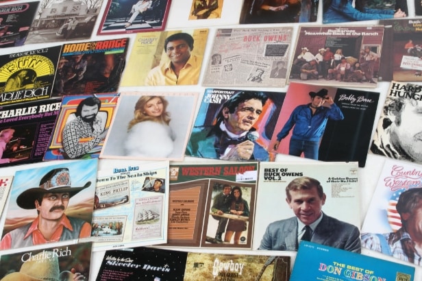 Collection Country & Western LPs / gramophone records (218)