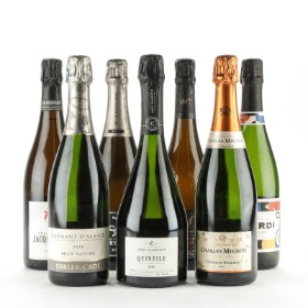 Samling Champagne (7)