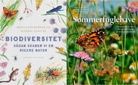 'Biodiversitet - Sådan skaber vi en rigere natur' af Michael Stoltze & Mona Klippenberg og 'Sommerfuglehave' af Michael Stoltze, Mona Klippenberg & Susan Trolle (2)