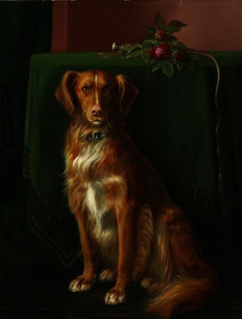 N.A. Lützen. Hundeportræt af en irsk setter på godset Egholm, 1878