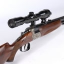 This auction has been annulled