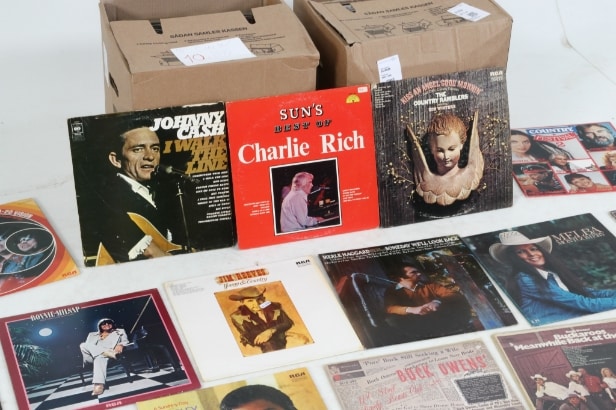 Collection Country & Western LPs / gramophone records (218)