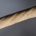 Narhvalstand, L. ca. 245 cm.