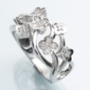 Brilliant ring of 14 kt white gold 0.20 ct