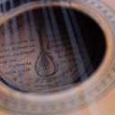 Two mandolins (2)