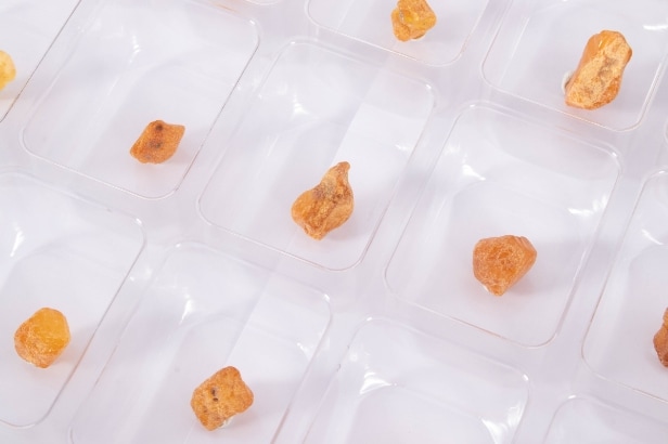 300 pieces of unpolished inclusion amber (300)