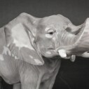 Royal Copenhagen. Elefant af porcelæn nr. 1771