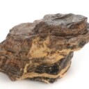 House of Amber. Verdens næststørste stykke rav. 47,56 kg.