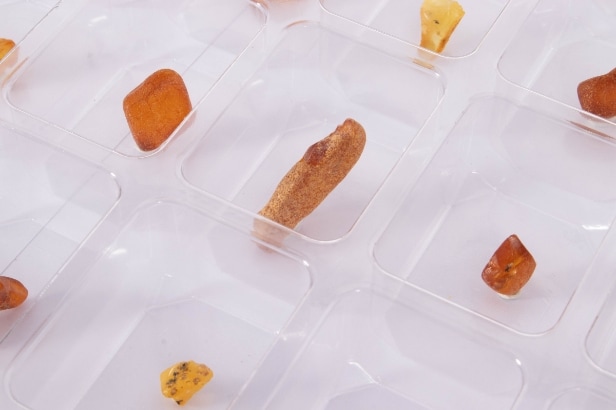 300 pieces of unpolished inclusion amber (300)