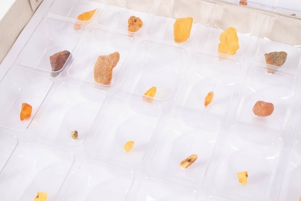 300 pieces of unpolished inclusion amber (300)