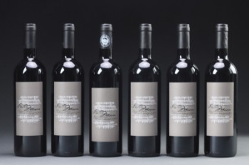 13 flasker Barolo, Amarone, Brunello m.fl (13)