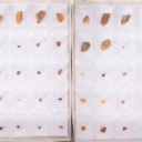 300 pieces of unpolished inclusion amber (300)