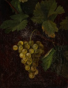 Augusta Dohlmann. The vine with bunch of grapes