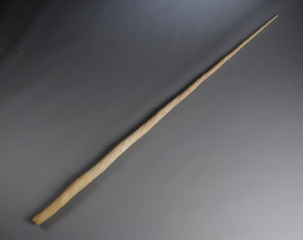 Narhvalstand, L. ca. 245 cm.