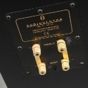 Audiovector. Par gulvhøjtalere C-series (2) Denne vare er sat til omsalg under nyt varenummer 4623138