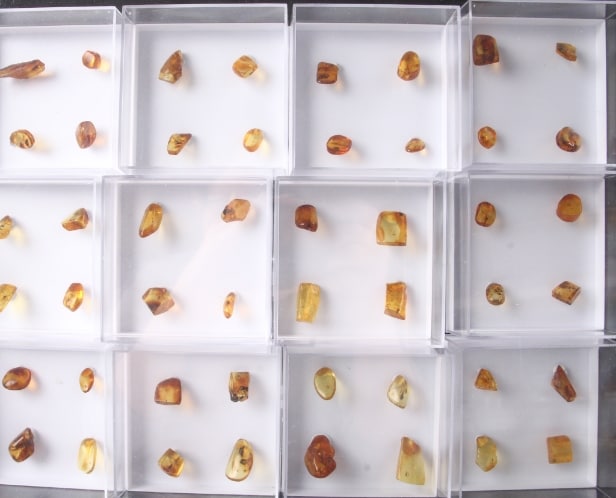 Collection of large pieces of clear inclusion amber with large visible ...