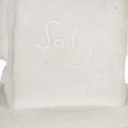 J. F. J Saly. Plaster bust, depicting a young girl with braids in her hair