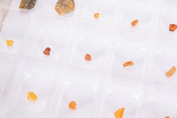 300 pieces of unpolished inclusion amber (300)