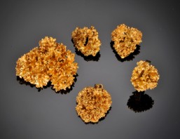 Udlevering uudgrundelig generation Flora danica persille smykker (5) - Lauritz.com
