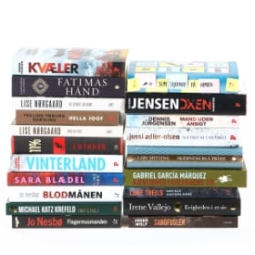 En samling bøger, bl.a. romaner og krimier. (20)