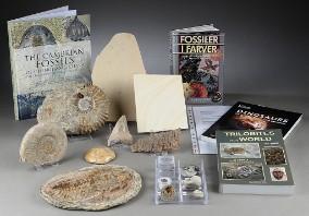 En samling bøger fossiler - Lauritz.com