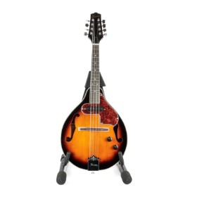 Ibanez mandolin