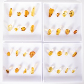 32 pieces clear inclusion amber (32)