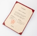 Cartier 'Double C' brilliant charm and necklace in 18kt white gold