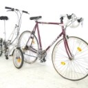 Rennrad Giant Peloton 7400 + Klapprad von Dahon (2)