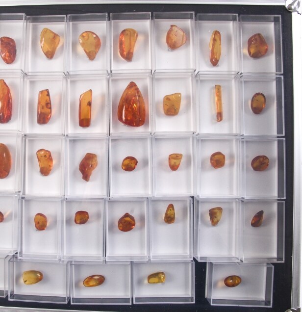 Large collection of pieces of clear inclusion amber with large visible ...