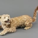 Leopard unge
