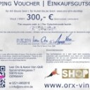 Einkaufsgutschein für 1 Kunstwerk von Iven Orx &  Aaron Vinn