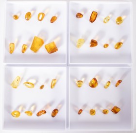 32 pieces clear inclusion amber (32)