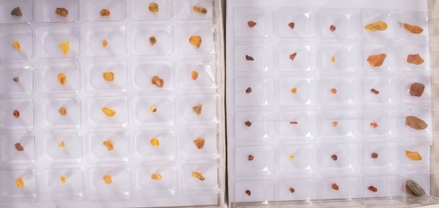 300 pieces of unpolished inclusion amber (300)