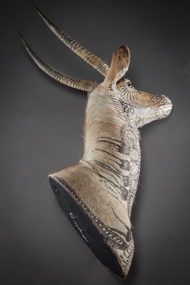 Morten Angelo. 'A Second chance'. Dekoreret water buck. Højde 130 cm