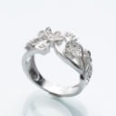 Brilliant ring of 14 kt white gold 0.20 ct