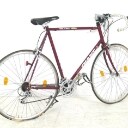 Rennrad Giant Peloton 7400 + Klapprad von Dahon (2)
