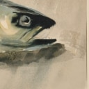 Svend Saabye, litografisk tryk, fisk (2)