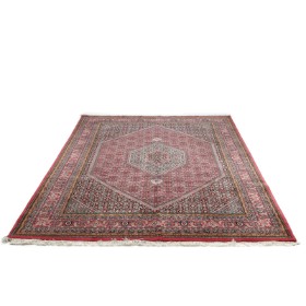 Indian Bidjar rug. 253 x 353 cm.