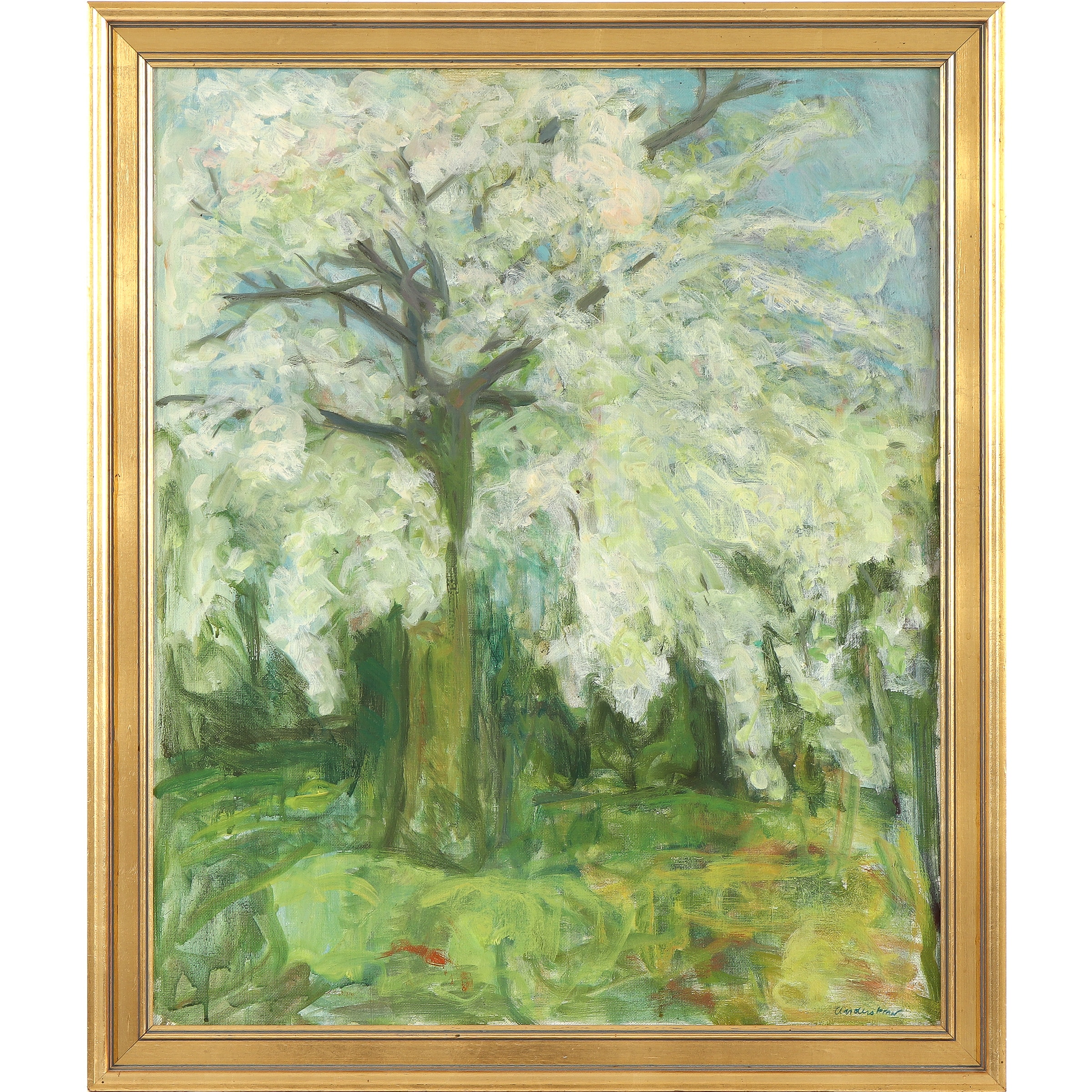 John Anderskow. Flowering tree.
