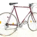 Rennrad Giant Peloton 7400 + Klapprad von Dahon (2)