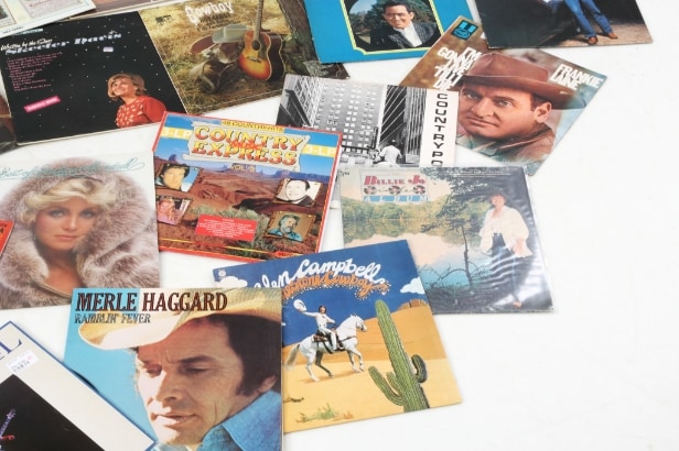 Collection Country & Western LPs / gramophone records (218)