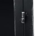 Daneline. Display cabinet in black lacquered metal.