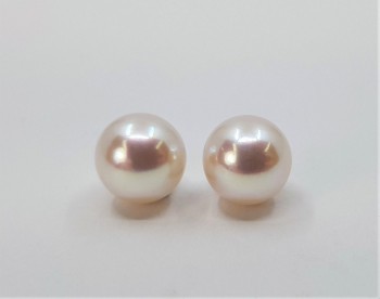 Akoya pearl earrings in 14kt white gold