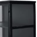 Daneline. Display cabinet in black lacquered metal.