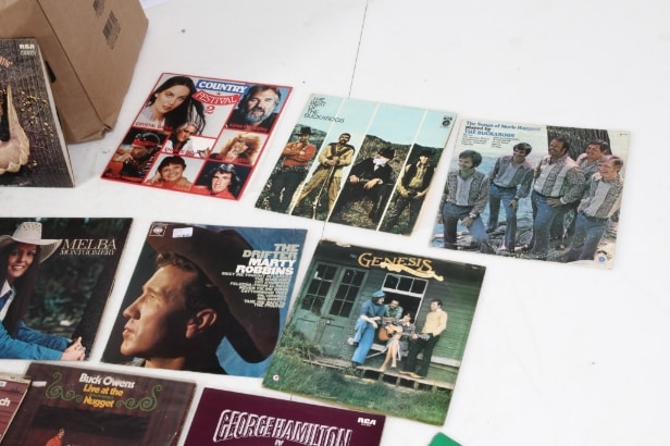 Collection Country & Western LPs / gramophone records (218)