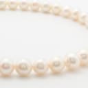 Connection, necklace with freshwater cultured pearls, with interchangeable clasp