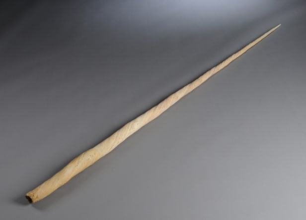 Narhvalstand, L. ca. 245 cm.